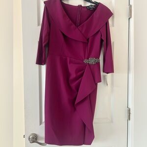 Elegant Alex Eveinigs Magenta Dress with Embellished Detail Sz 12 with tags